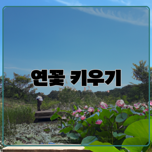 말랑한-다채로운-선명한