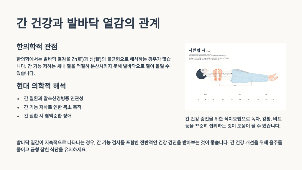 간 건강과 발바닥 열감의 관계