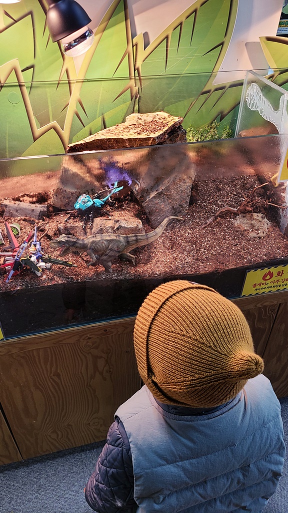 여주곤충박물관