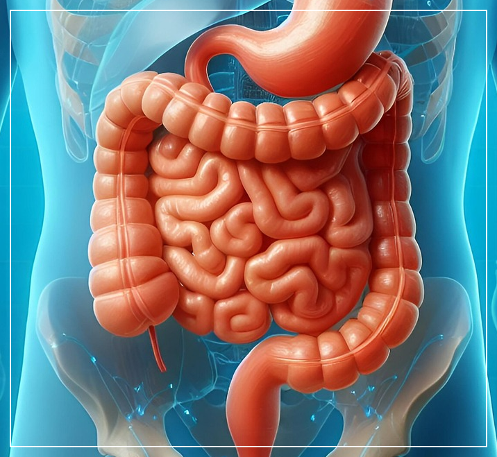 면역력은 장에서 시작됩니다