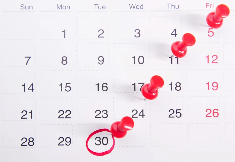 민생회복지원금 출생연도