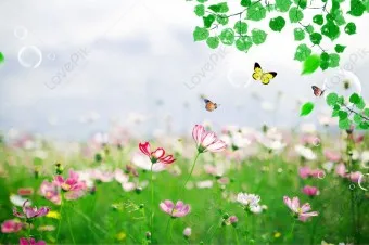 봄 이미지 일러스트 따뜻한 봄 꽃 예쁜 이미지_29