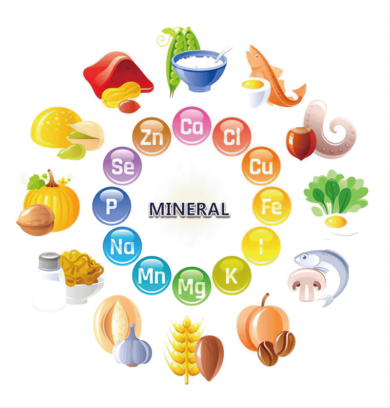 마그네슘은 왜 &lsquo;몸의 긴장을 풀어주는 미네랄&rsquo;이라 불릴까