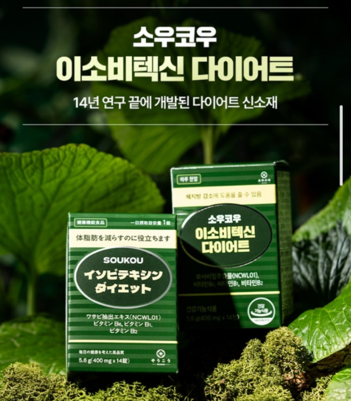 소우코우 이소비텍신