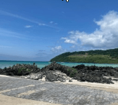 제주도 비행기표 싸게 사는법