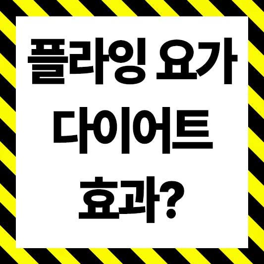 플라잉 요가 효과