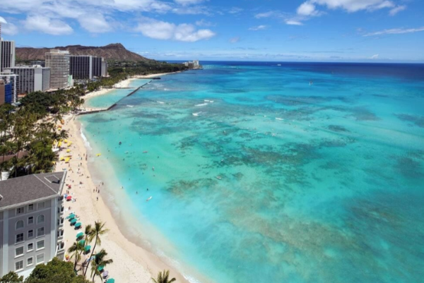 하와이 신혼여행