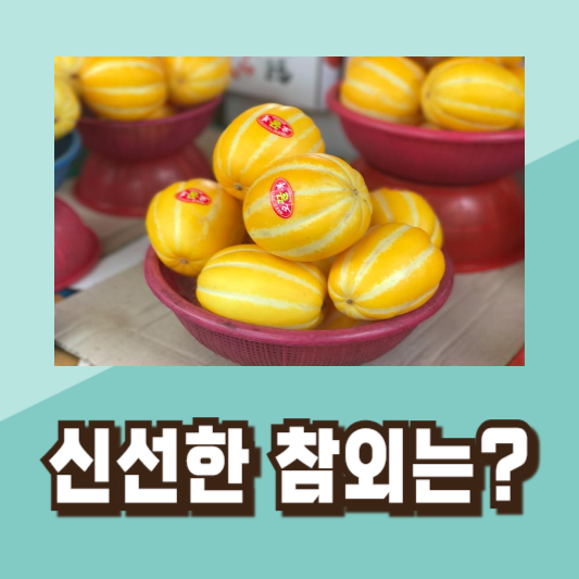 맛있는 참외 고르기