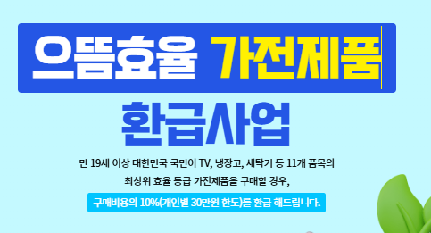 유의사항 및 팁