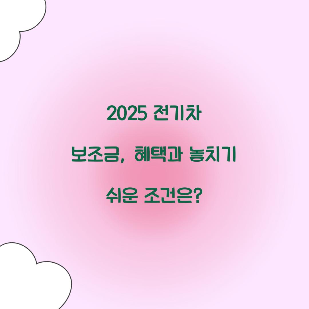 전기차 보조금
