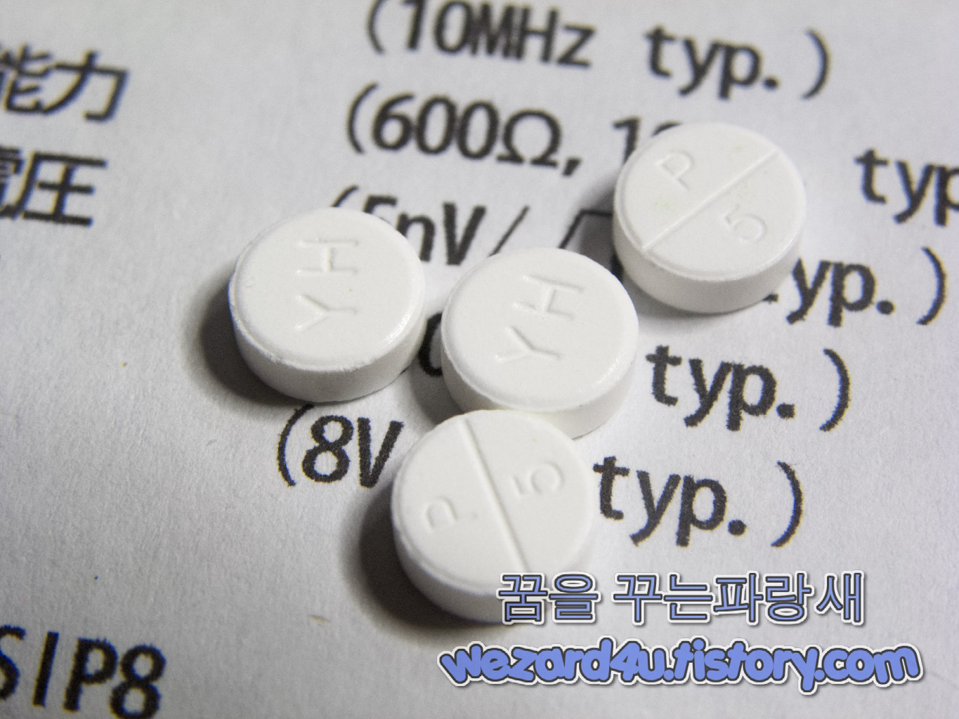 소론도정