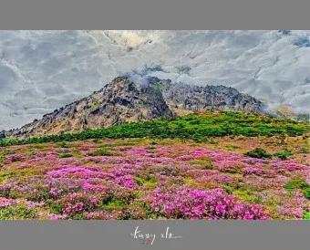 한라산 탐방로예약 시스템 등산 코스_7