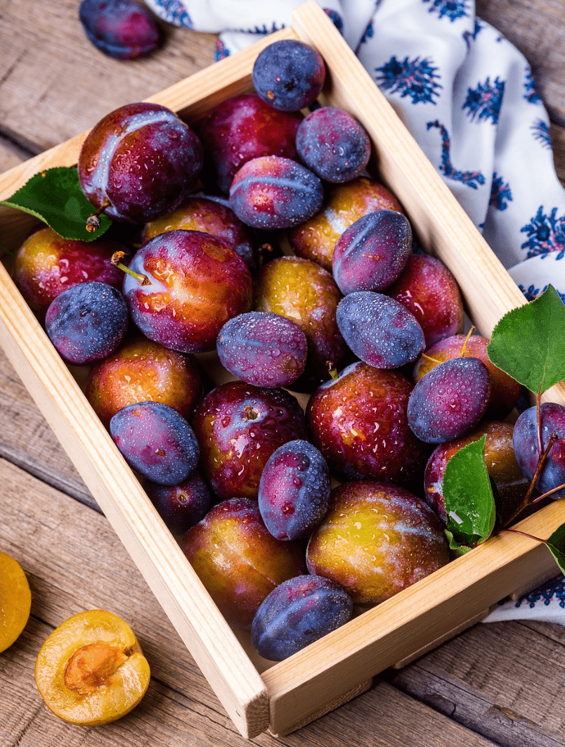 박스 안에 있는 자두들