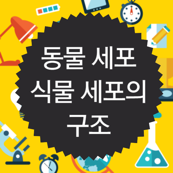 동물 세포의 구조, 식물 세포의 구조