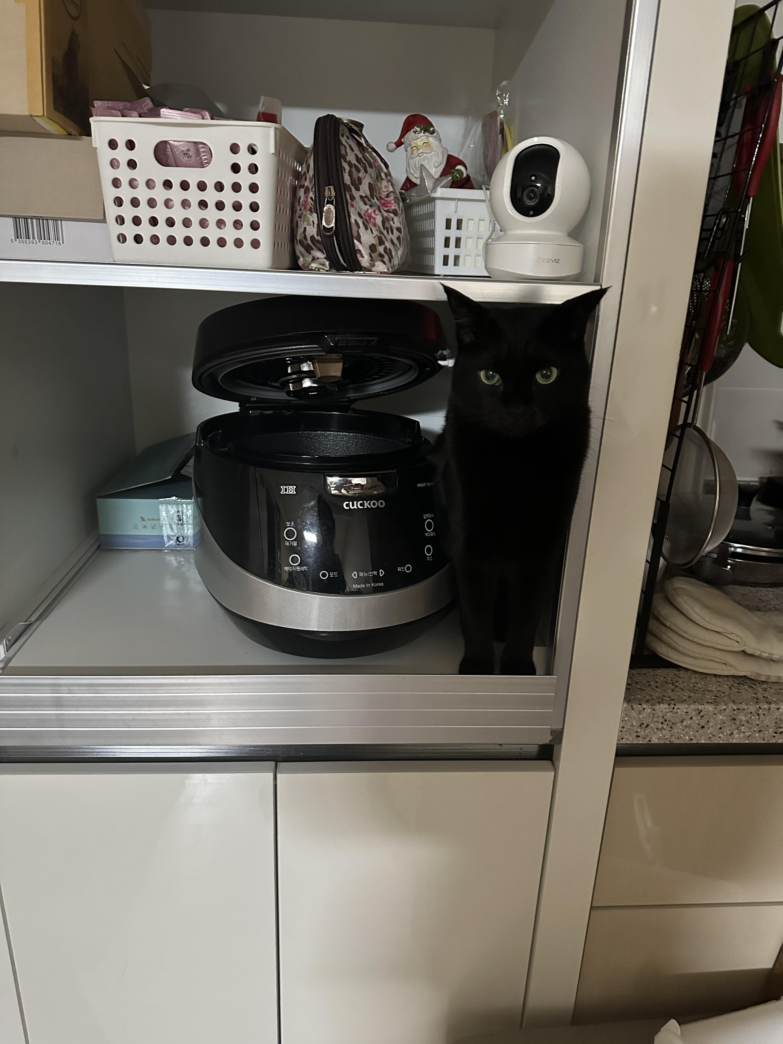 그리곤_자리잡고_앉았다