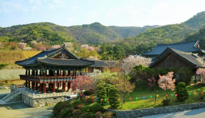 이색적인 전국 사찰여행