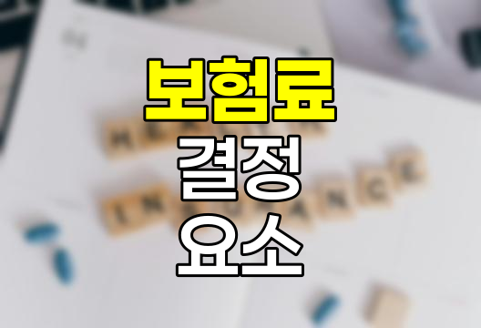 보험료 결정 요소의 심층 분석