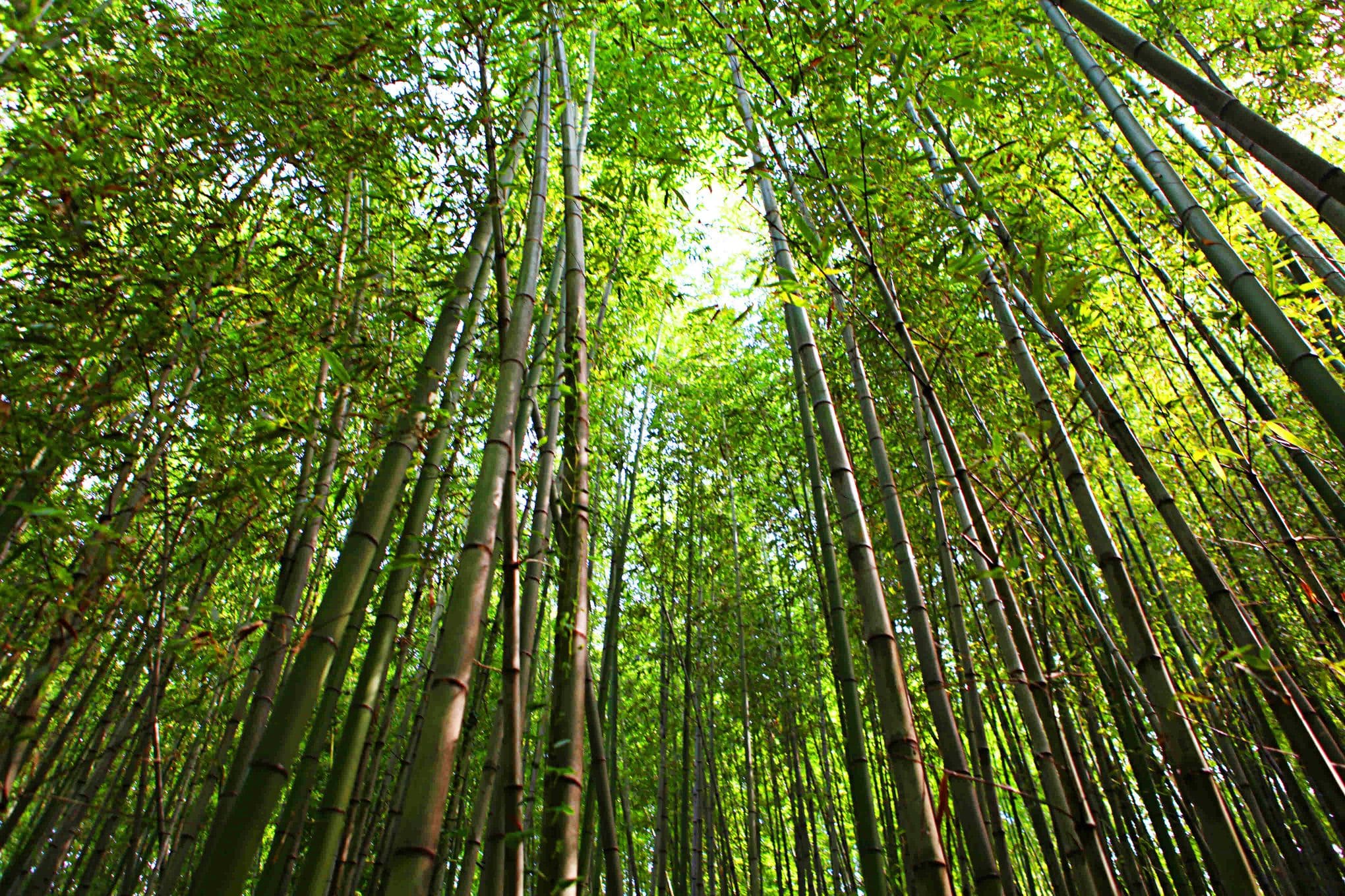담양 가볼만한곳 베스트10