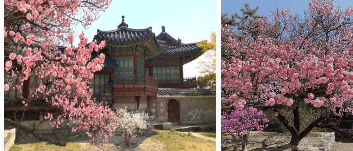 1.창덕궁과창경원