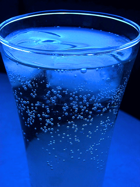 투명한 플라스틱 컵에 사이다가 가득하다. 하얀 기포들이 올라온다.