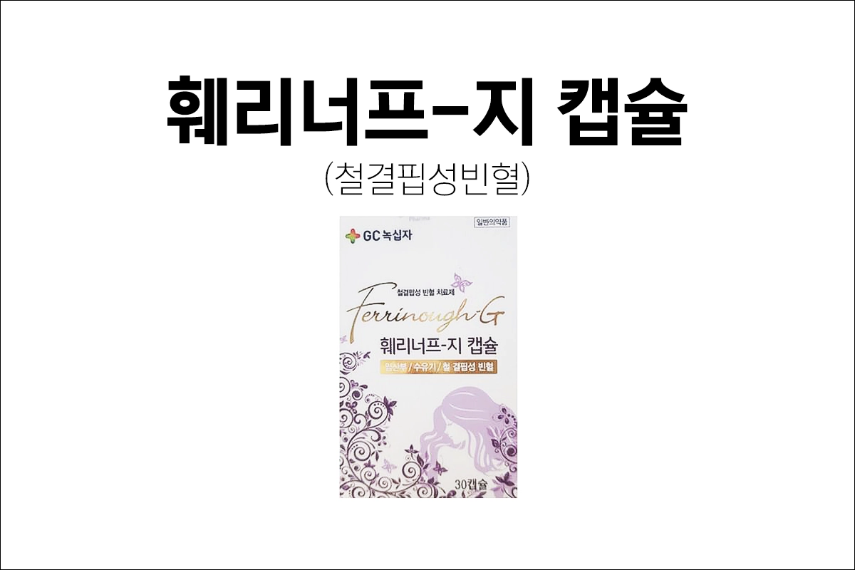 훼리너프지캡슐 효능 효과 부작용 임산부 수유기 철 결핍성 빈혈