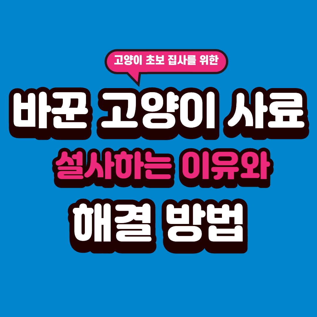 고양이 사료 바꿀 때 설사하는 이유와 해결 방법