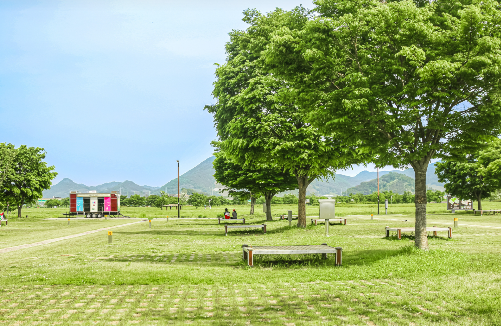 칠서생태공원 청보리&middot;작약5