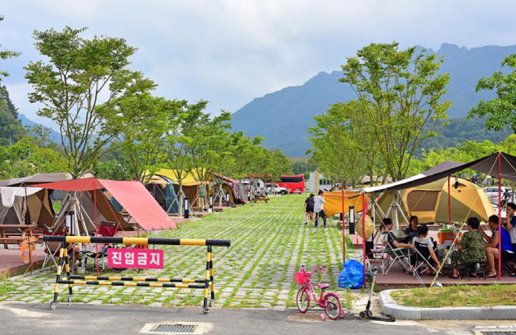 정읍 국민여가캠핑장
