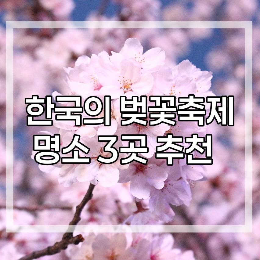 한국의 벚꽃축제 명소 3곳 추천