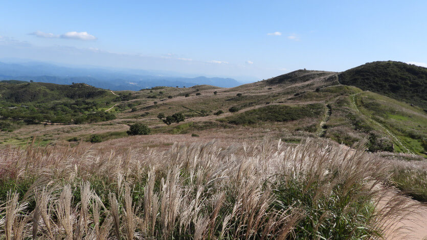 합천 황매산 사진