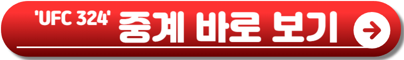UFC 324