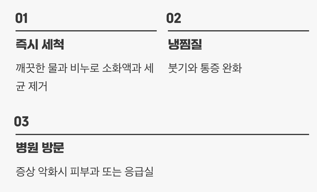 만약 물렸다면, 이렇게 하세요