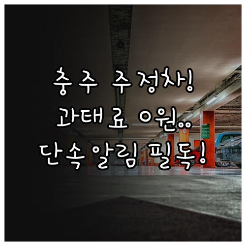 충주 주정차 단속 알림 신청으로 과태..