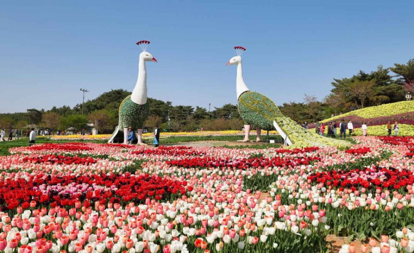 코리아플라워파크