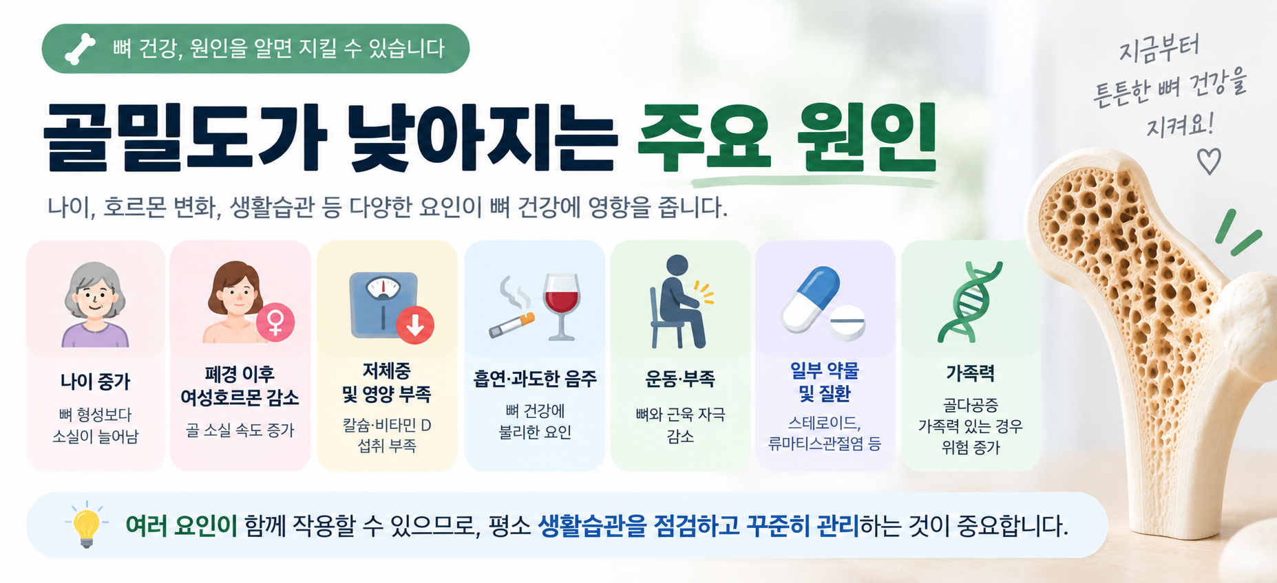 골밀도가 낮아지는 주요 원인과 골다공증 위험요인