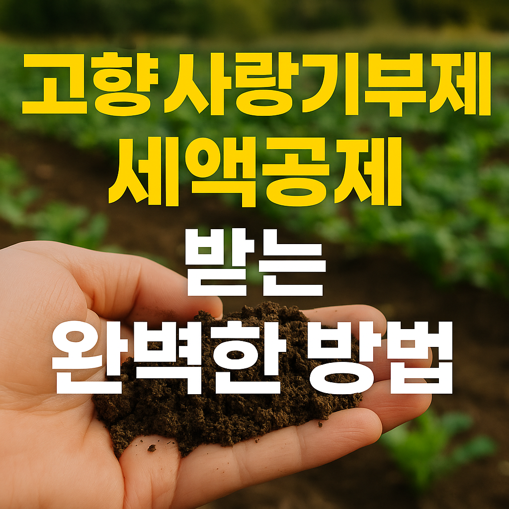 고향사랑기부제로 세액공제 받는 완벽한 방법