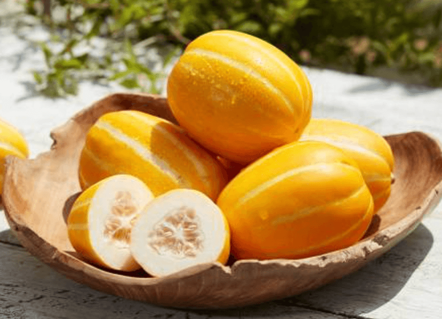 다른 참외 사진