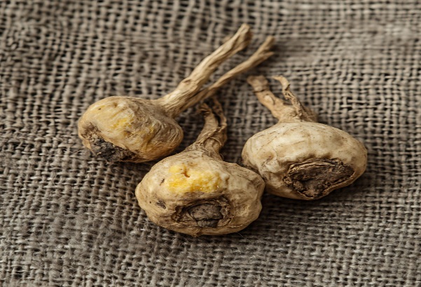 안데스의 인삼, 마카( 효능, 섭취방법, 부작용)에 대해 설명하고 있습니다.