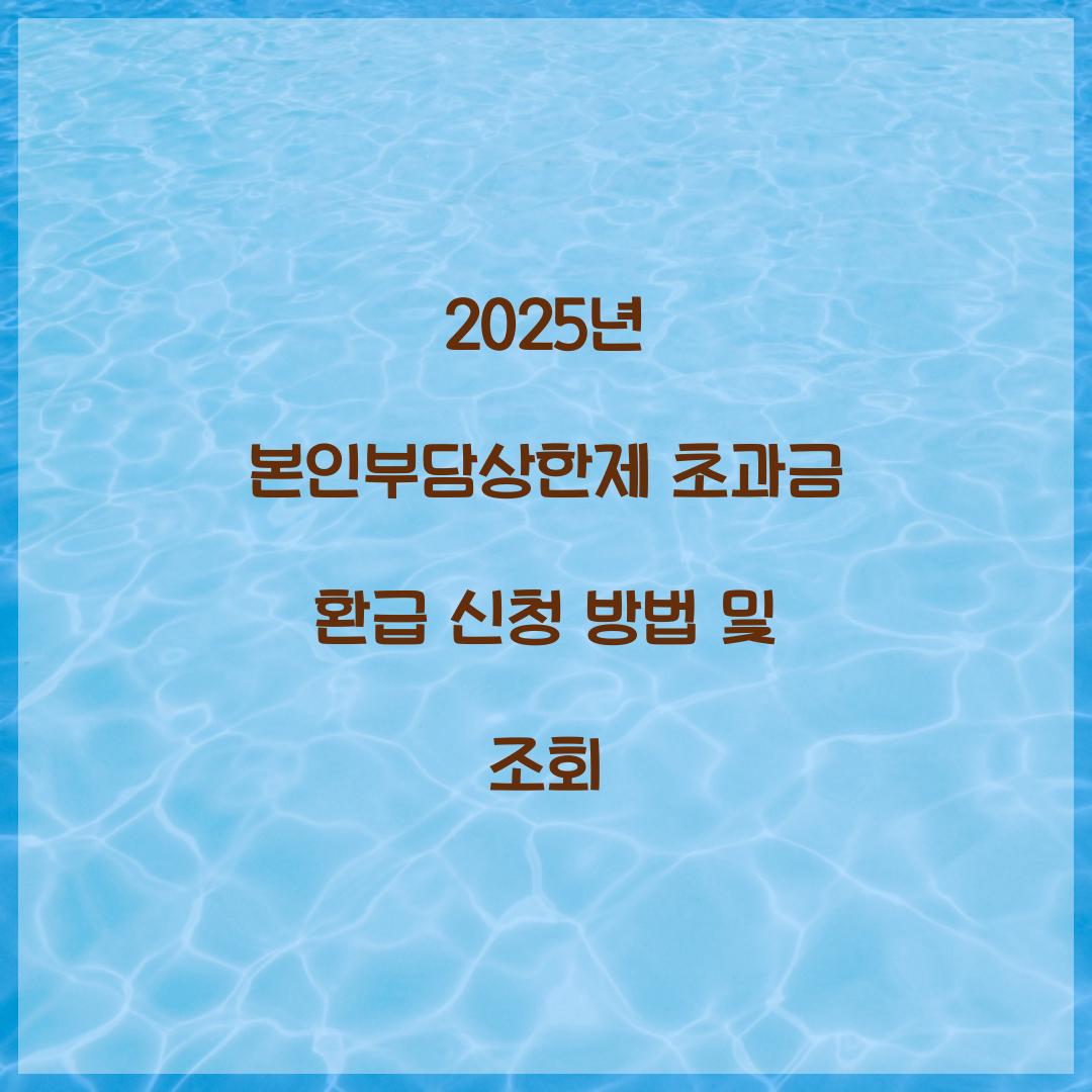 2025년 본인부담상한제 초과금 환급