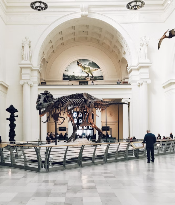 박물관의 내부모습