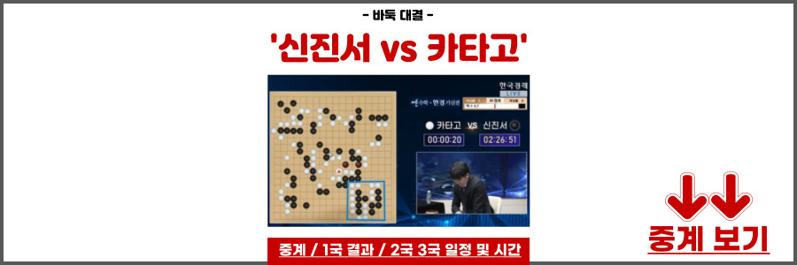 신진서 카타고
