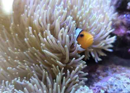 해중공원 볼거리