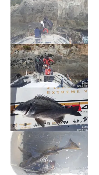 디낚 점주조황 인낚 부낚 어부지리 바다낚시_11