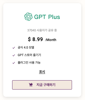 챗지피티-플러스