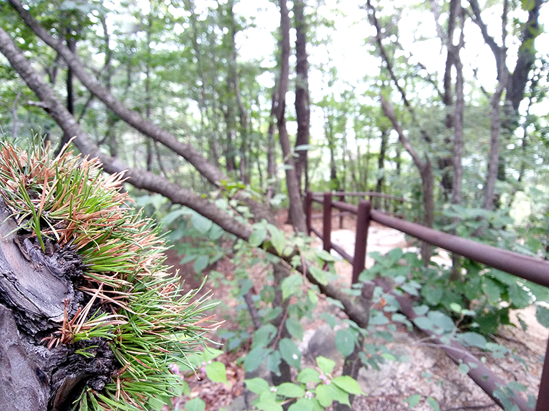 서울둘레길 북한산 흰구름길