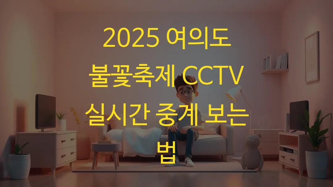 2025 여의도 불꽃축제 CCTV 실시간 중계 보는 법