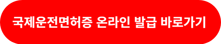 국제면허증 온라인발급 바로가기