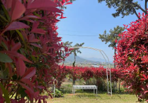 완도 해양치유센터 요금 및 예약방법 펜션 추천