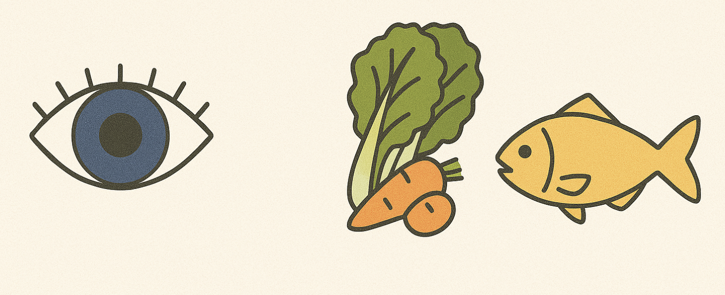 눈 건강을 지키는 여러가지 이미지