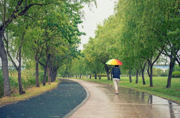 봄비와 어울리는 감성 여행지 사진